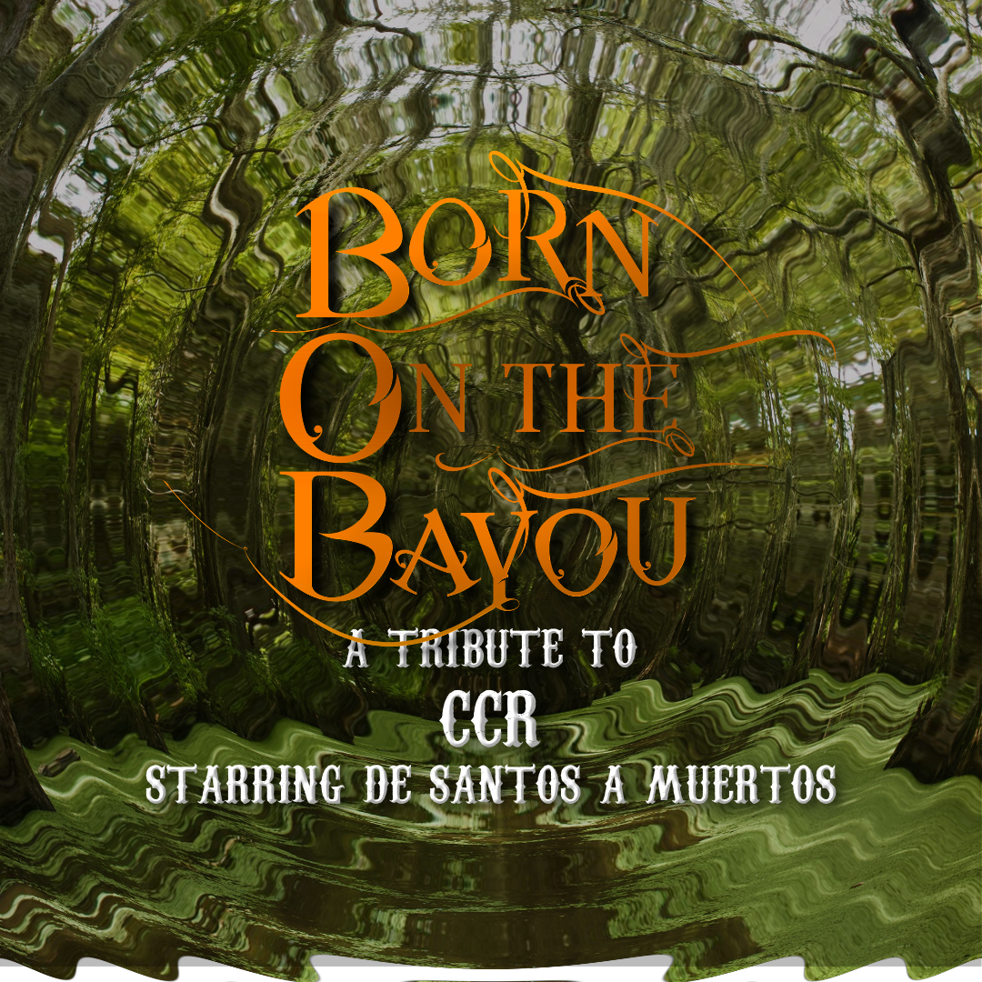 WEB SMALL BANNER born